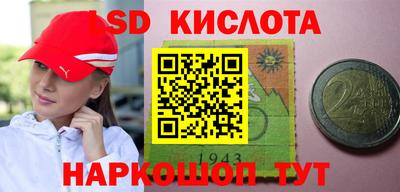 гидропоника Пушкино